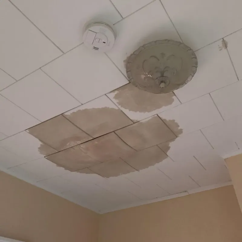 Ceiling Water Damage Repair in Sanilac County, MI